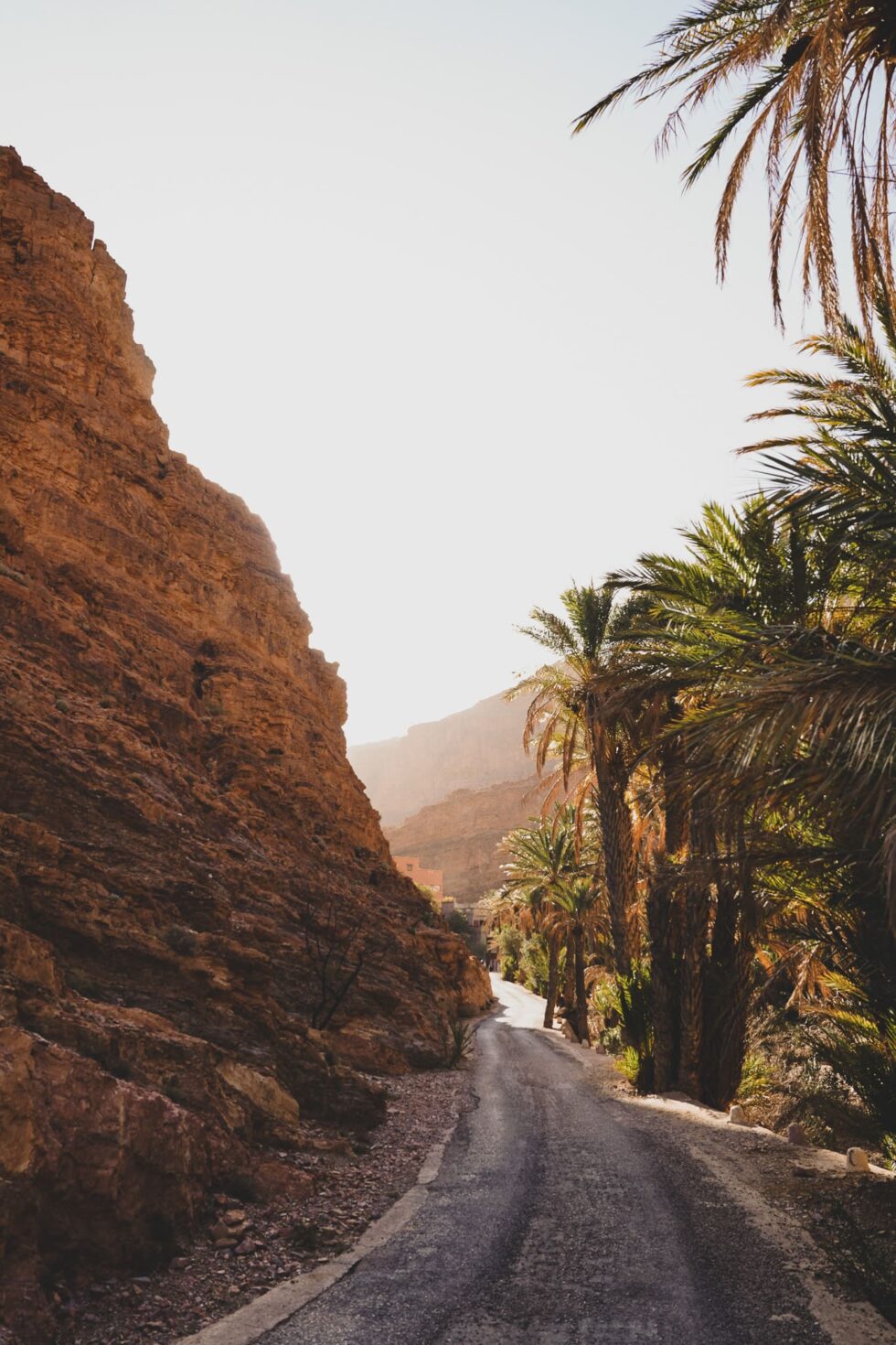 Palmengesäumte Straße im Tal Ait Mansour